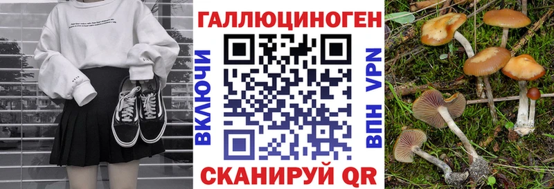 Галлюциногенные грибы мицелий закладка MEGA ссылки Чулым